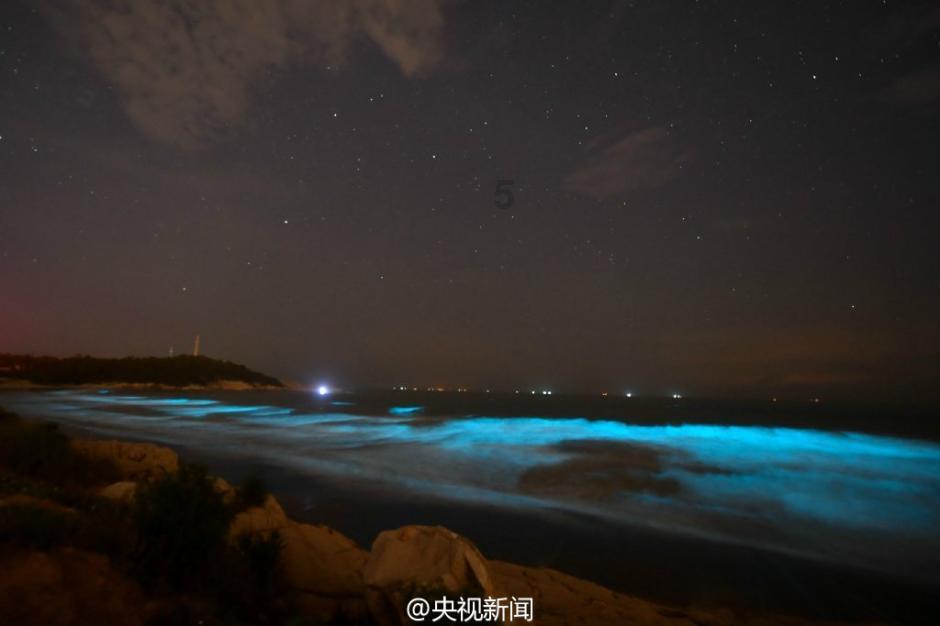 春雨直播app