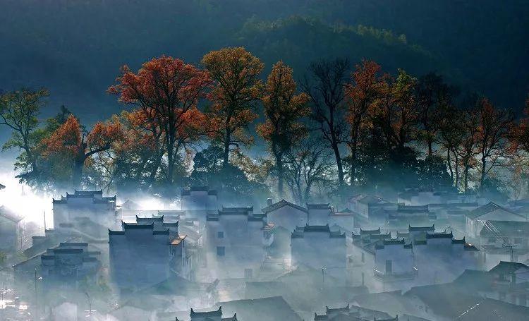和女友约好出去旅游,她闺蜜也要跟去,怎么办?论坛,深入讨论与分享的平台